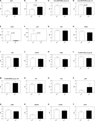 Snow crab (Chionoecetes opilio) hemocytes and hepatopancreas transcriptomes: identification, validation, and application of immune-relevant biomarkers of exposure to noise